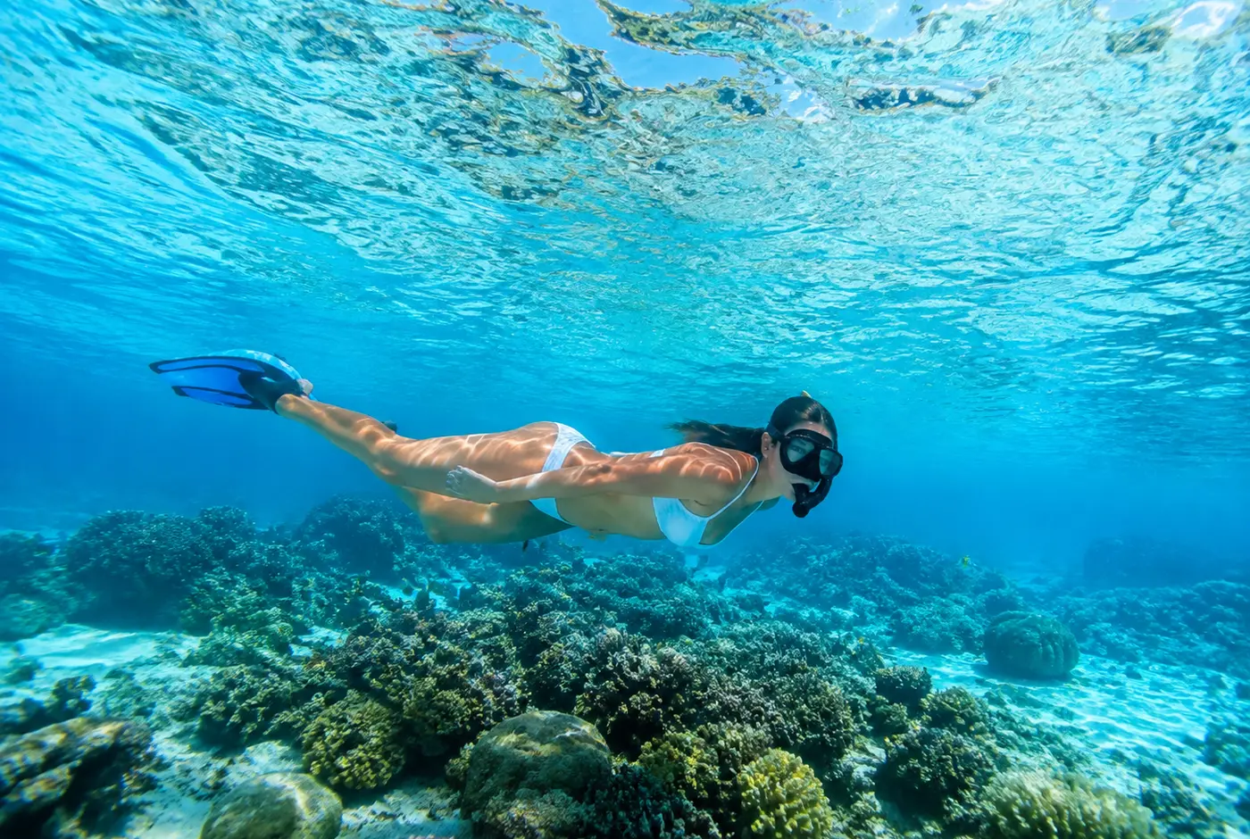 Snorkeling in Caribbean water